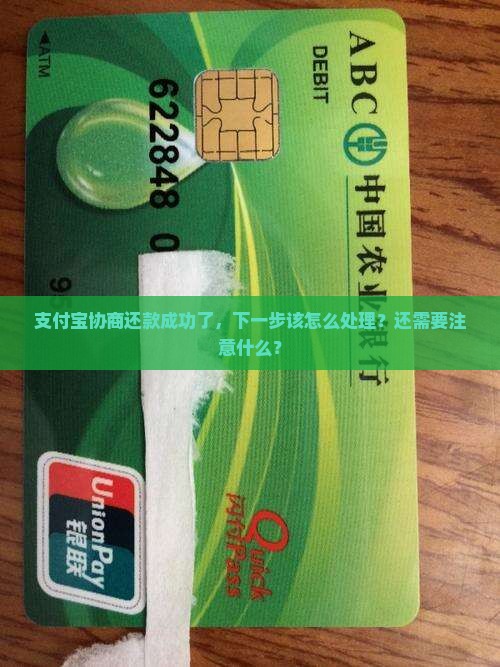 支付宝协商还款成功了怎么处理