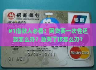 网贷一次性还款如何协商