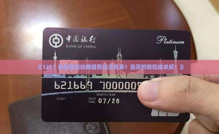 极融借款协商提前结清怎么操作