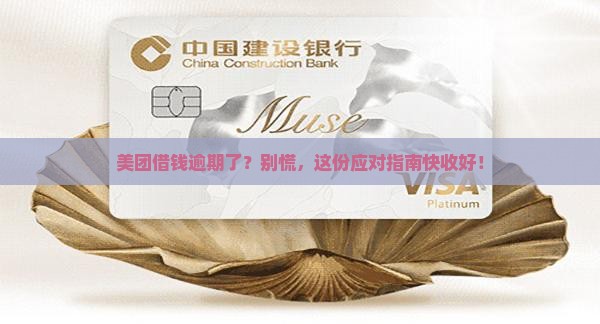 美团借钱逾期应该怎么办