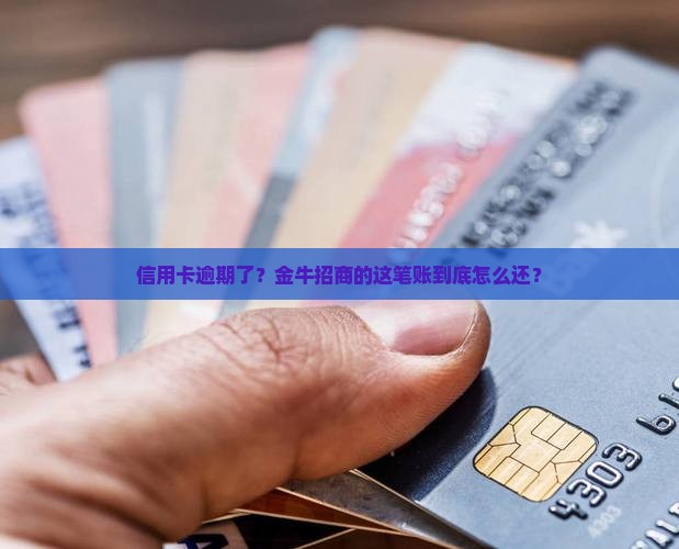 金牛招商信用卡逾期协商分期方法有哪些