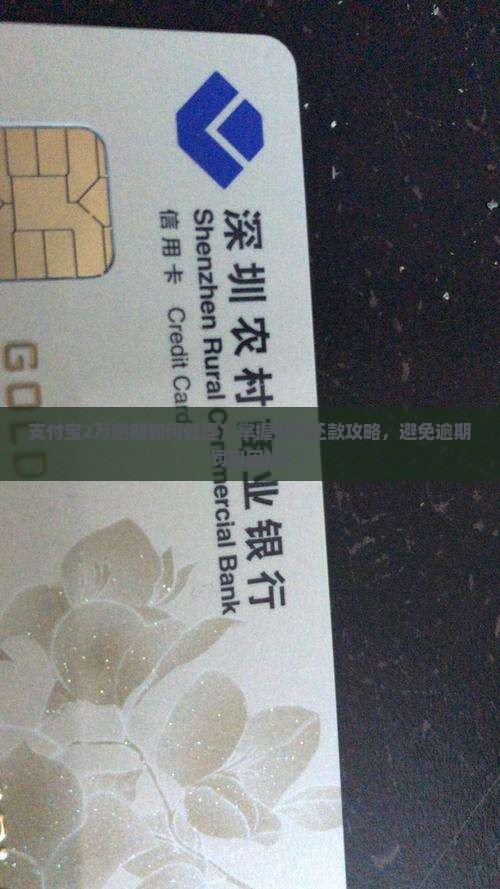 支付宝2万逾期怎么办提前还款方法