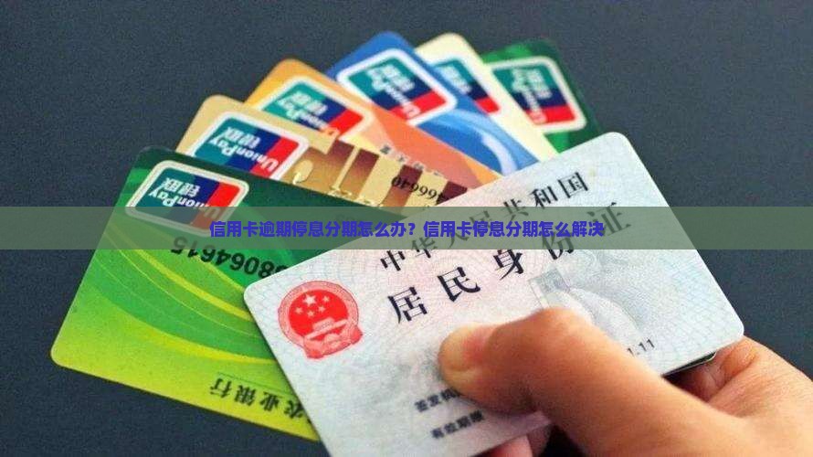 蚌埠信用卡逾期停息分期怎么解决