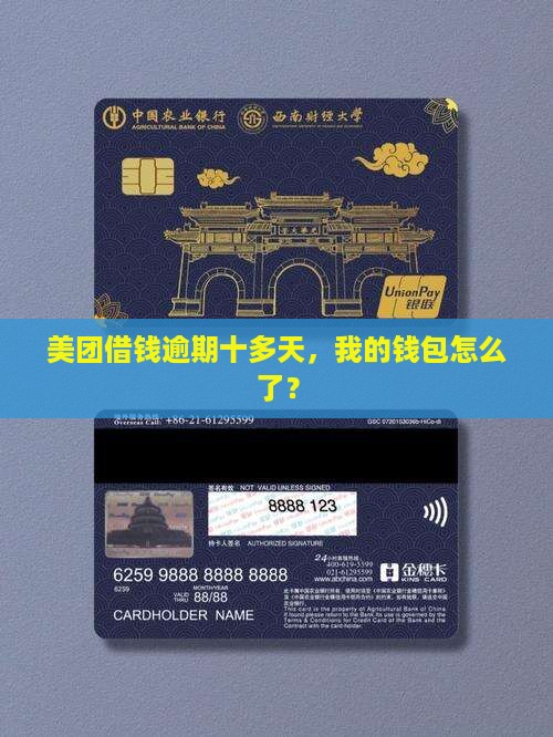 美团借钱逾期十多天