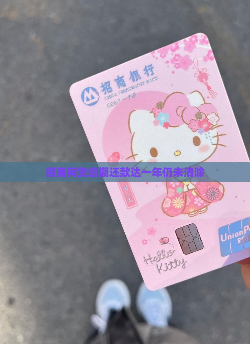 招商网贷逾期一年