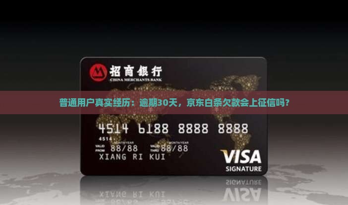 京东白条多久没还上征信