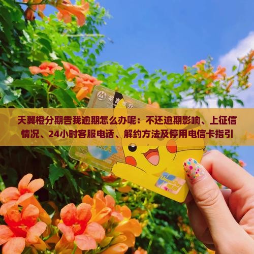 天翼橙分期告我逾期怎么办呢