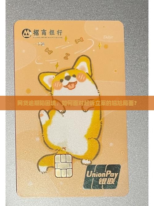 网贷逾期还不上起诉立案
