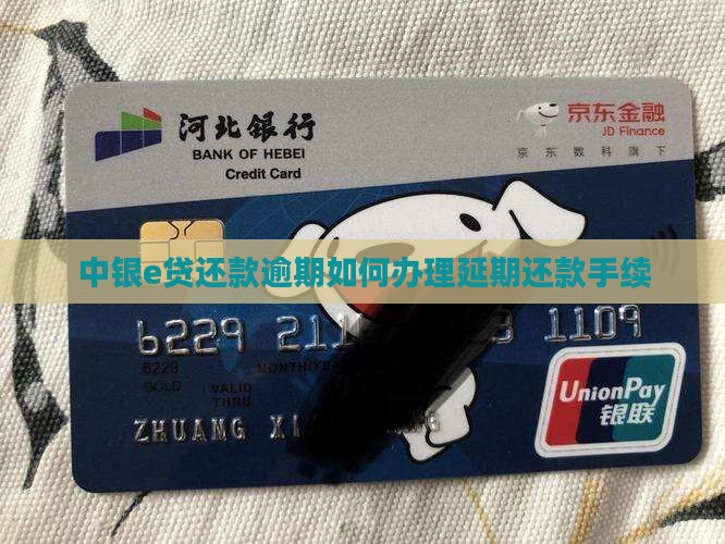 中银e贷到期还不上怎么申请延期手续