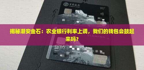 潮安金石农业银行利率