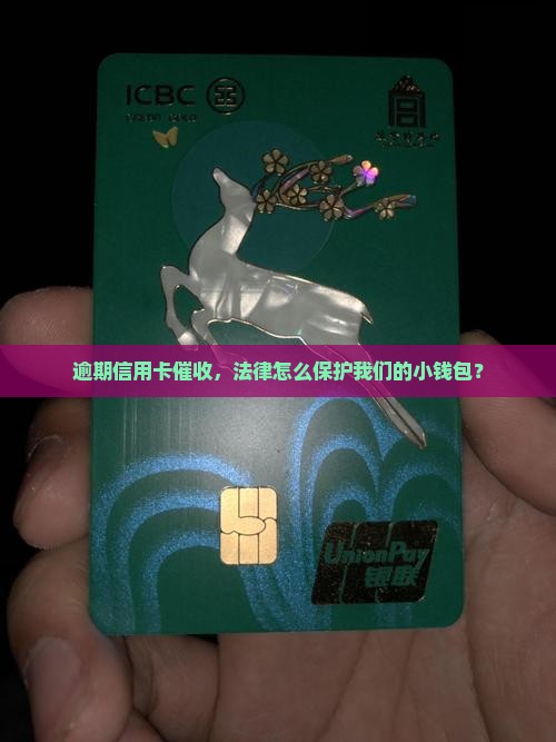 信用卡逾期催收的法律法规有哪些