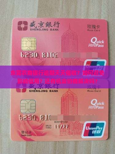 东莞农商银行逾期天天催收