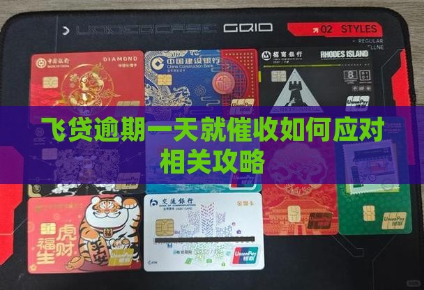 飞贷逾期一天就催收如何应对