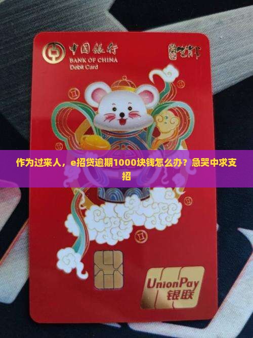 e招贷逾期1000块钱需要怎么处理