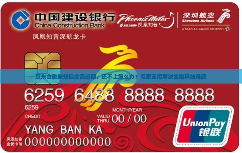 京东金融发短信金条逾期如何处理