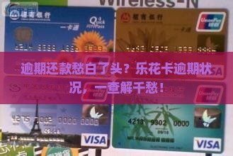 乐花卡逾期怎么查