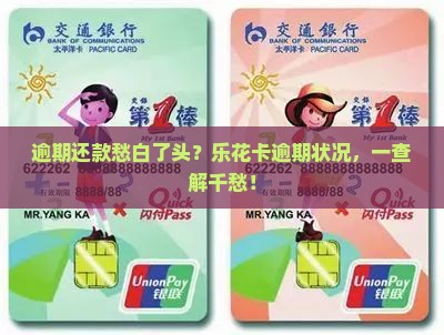 乐花卡逾期怎么查