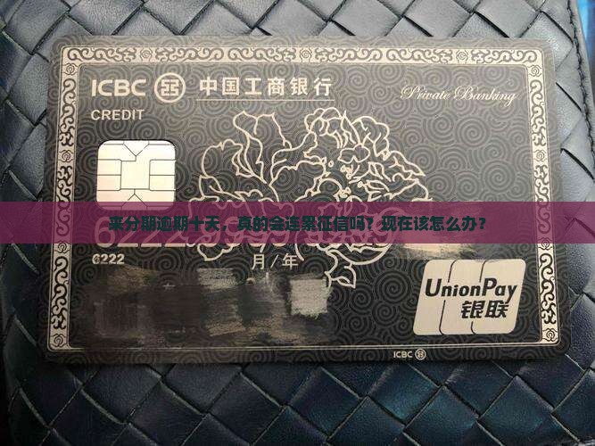 来分期逾期十天会上征信吗如何处理