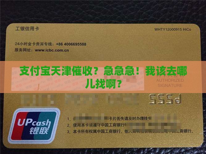 支付宝天津催收在哪里找