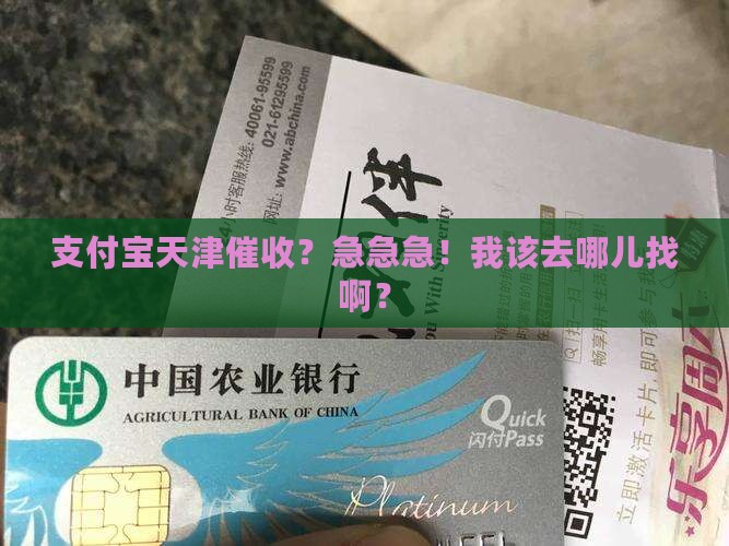 支付宝天津催收在哪里找