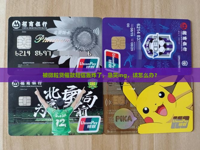 总接到微粒贷的催款短信怎么办