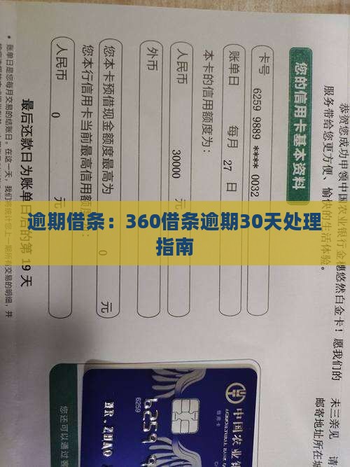 360借条逾期30天如何处理