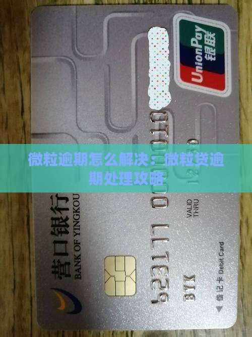 微粒贷逾期解决方案