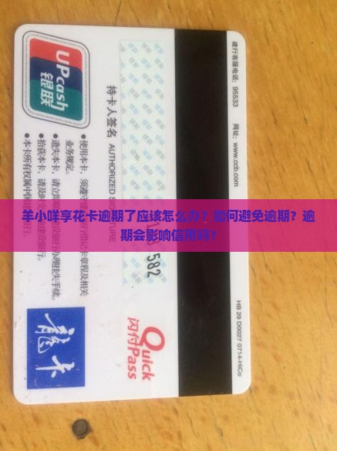 羊小咩享花卡逾期了应该怎么办