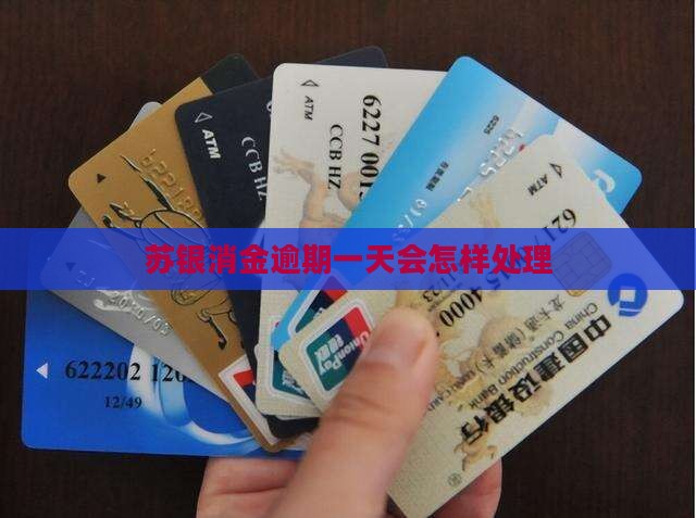 苏银消金逾期一天会怎样
