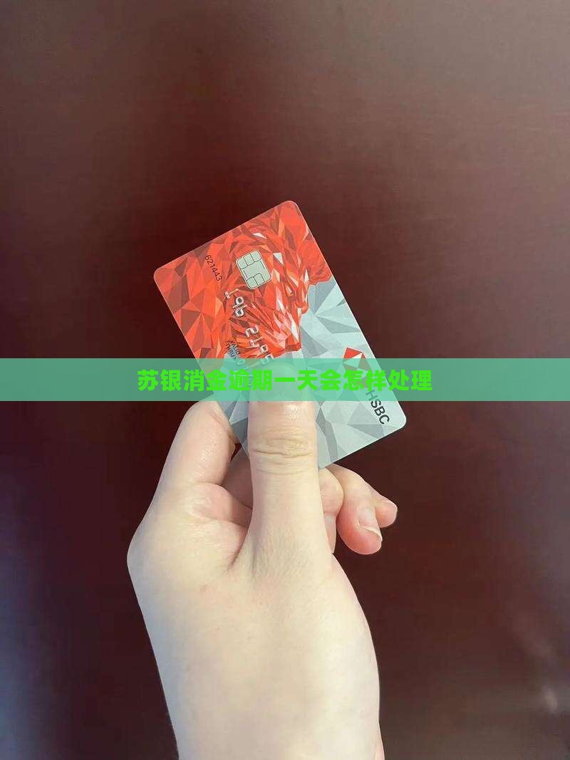 苏银消金逾期一天会怎样