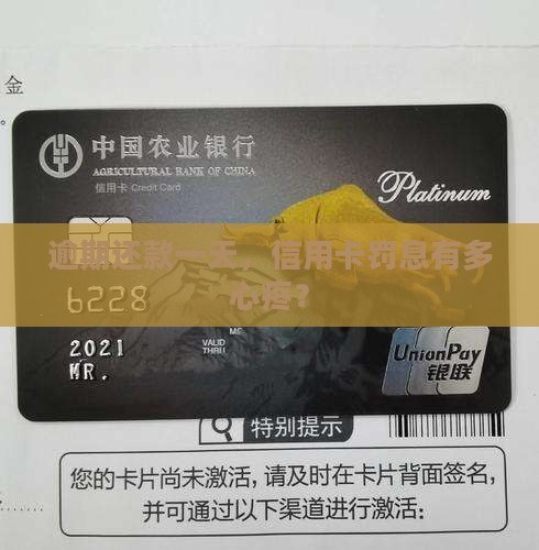 信用卡逾期1天罚息是多少