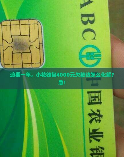 小花钱包4000逾期一年怎么办