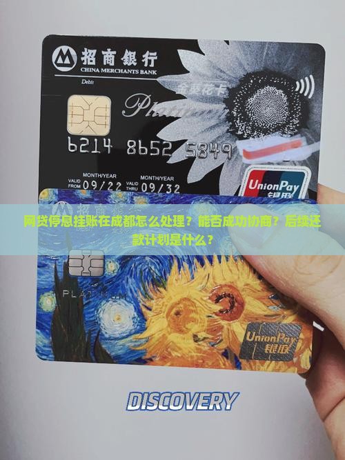网贷停息挂账成都如何处理