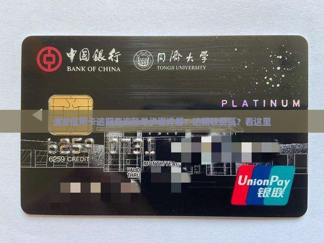 浦发信用卡逾期查询账单步骤详解