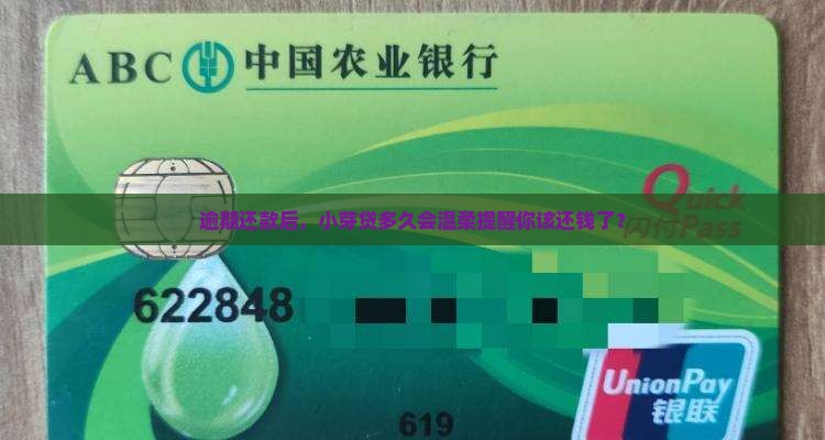 小芽贷逾期多久会收到紧急通知