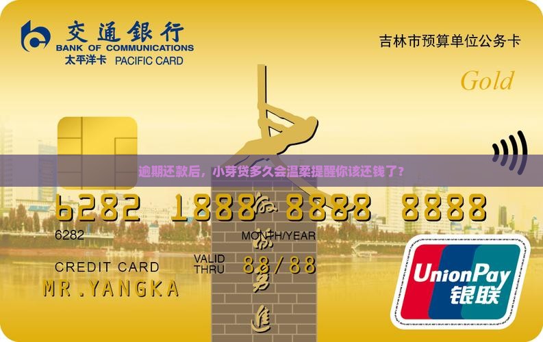 小芽贷逾期多久会收到紧急通知
