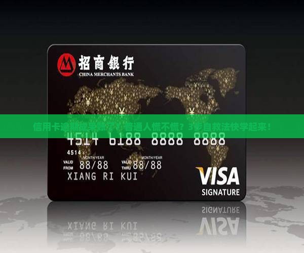 信用卡逾期被做了呆账怎么处理