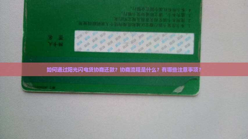 阳光闪电贷协商还款流程