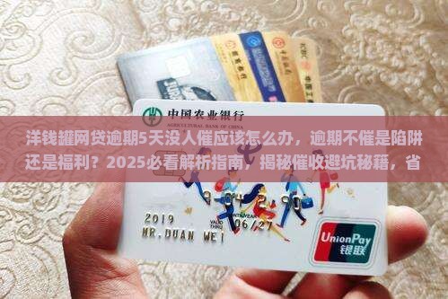 洋钱罐网贷逾期5天没人催应该怎么办