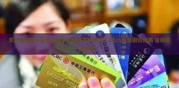 支付宝逾期需要主动联系吗问题解答