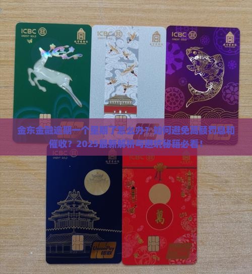 金东金融逾期一个星期了