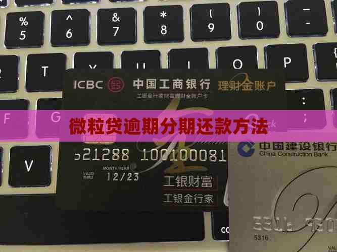 微粒贷逾期分期还款方法