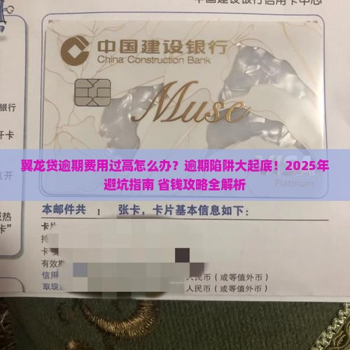 翼龙贷逾期费用过高怎么办