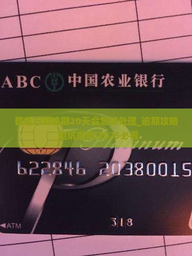 普信分期逾期20天会怎样处理