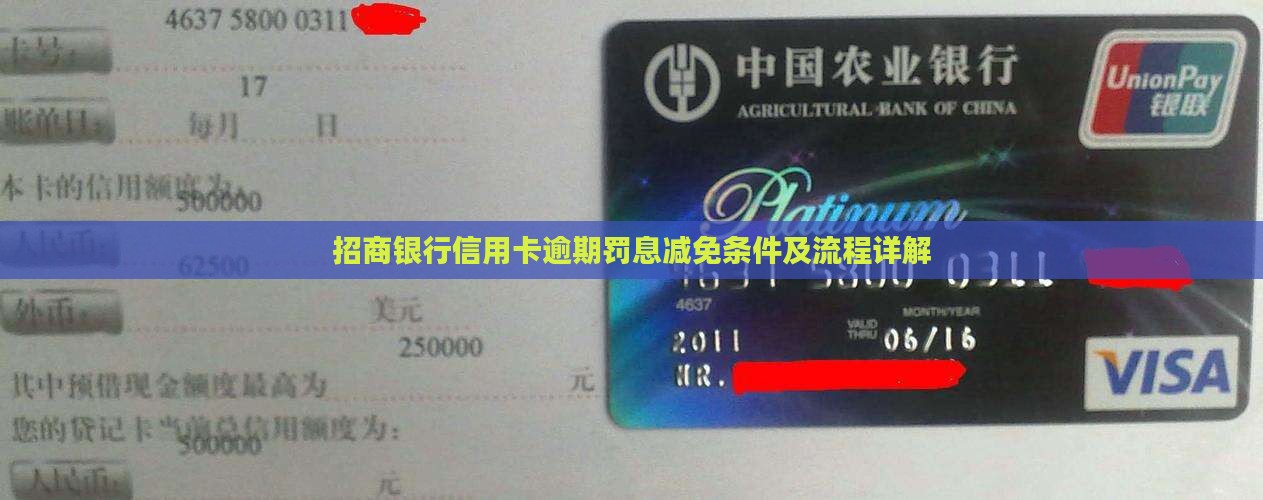 招行信用卡逾期罚息减免条件及流程详解