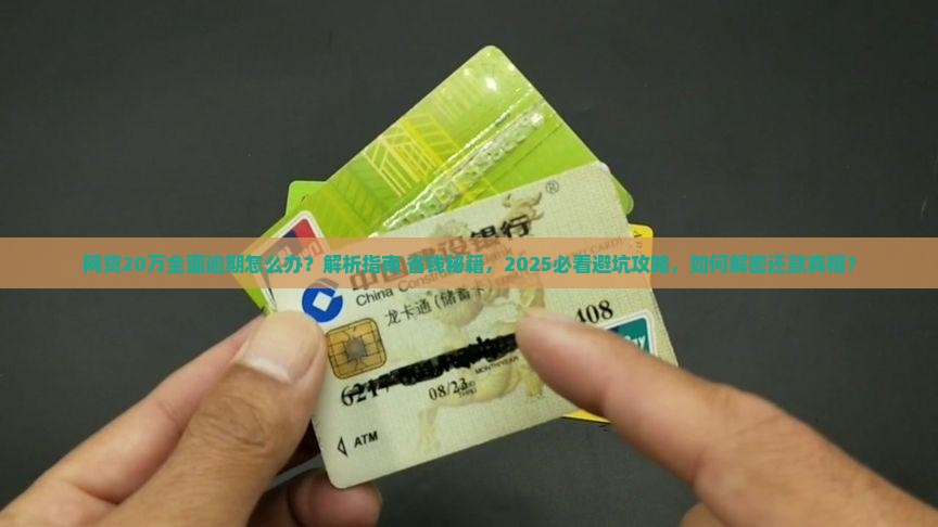 网贷20万全面逾期经历怎么解决