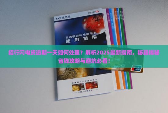 招行闪电贷逾期一天如何处理