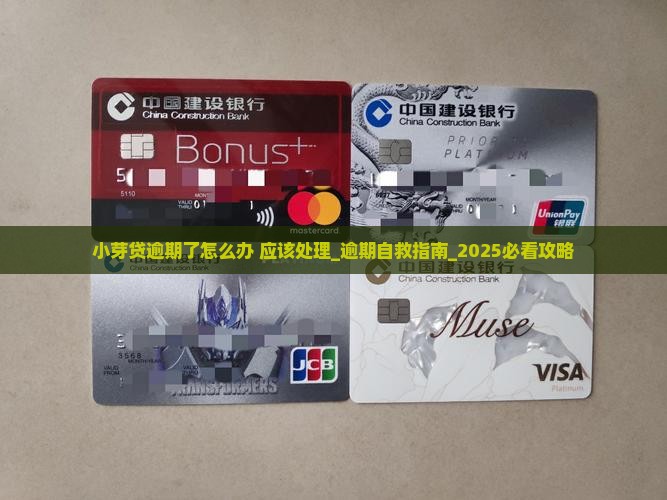 小芽贷逾期了怎么办应该处理
