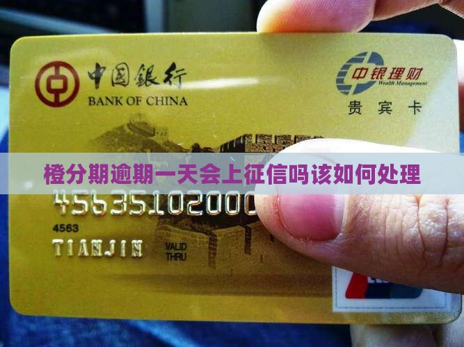 橙分期逾期一天会上征信吗该如何处理