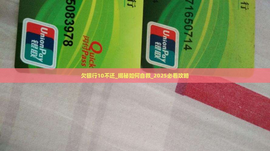 欠银行10不还